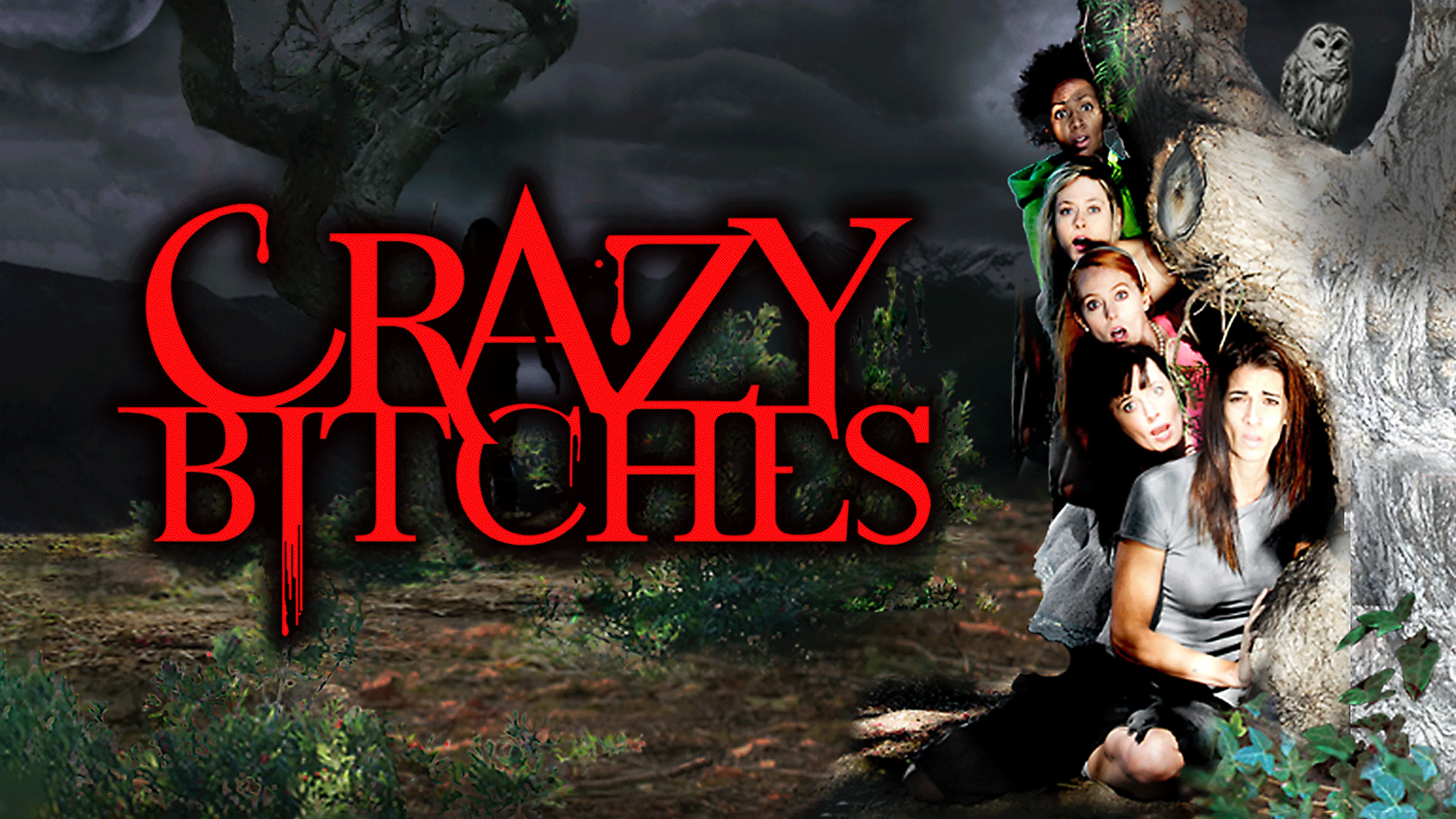 Crazy Bitches poster